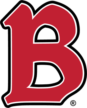 Benedictine University at Mesa banner logo